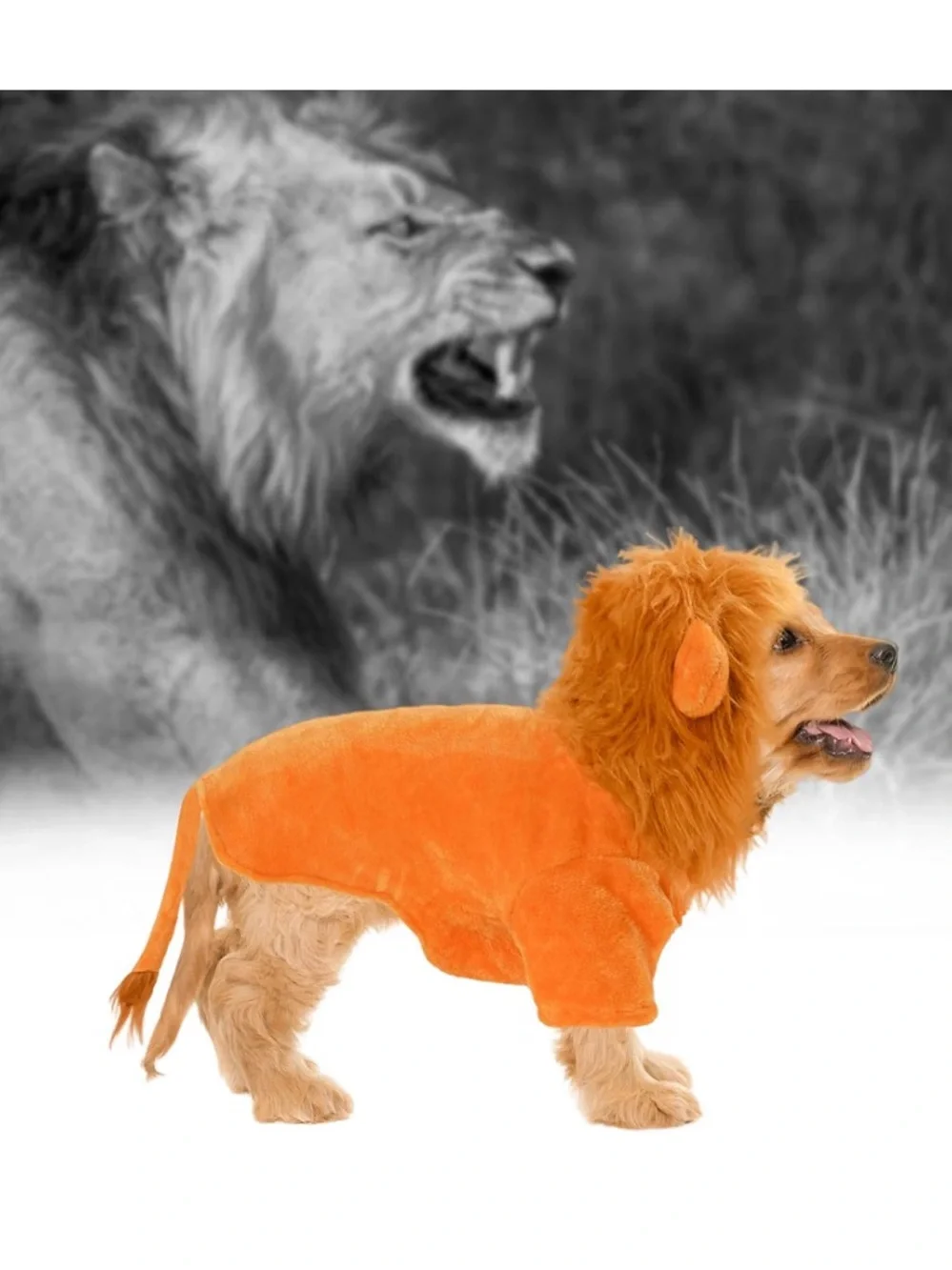 NWOT Plush Lion Simba Mufasa Dog Halloween Costume